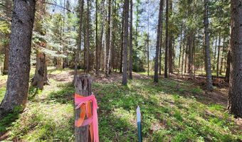 1365 MT Highway 209, Bigfork, MT 59911