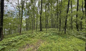 Tract 1 East Bay Road, Atkins, AR 72823