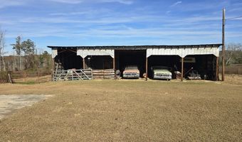 1228 River Rd, Ariton, AL 36311