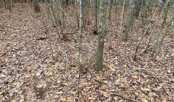 SWEATT ROAD lot Tract C - 29+/- Acres, Ashville, AL 35953