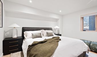 120 Turtle Cv, Aspen, CO 81611