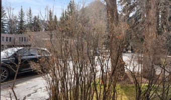 814 W Bleeker St C-1, Aspen, CO 81611