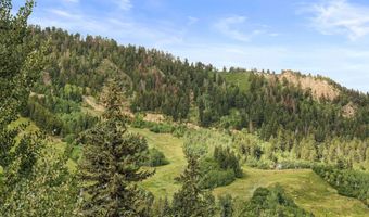 450 S Original St 8, Aspen, CO 81611