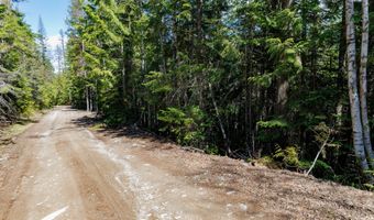 Nhn W Swan Shores Road, Bigfork, MT 59911