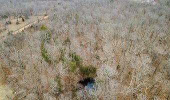 County Road 302, Alton, MO 65606