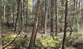 C830 & C83 Lakeside Lane, Albrightsville, PA 18210