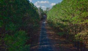 BEAR COVE Ln lot 20, Arley, AL 35541