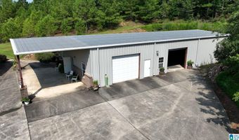 3941 SHOAL CREEK Rd, Ashville, AL 35953
