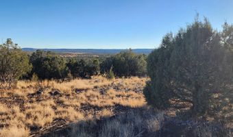 88- A Rose Ln, Ash Fork, AZ 86320