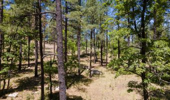 13 County Road N 2122, Alpine, AZ 85920