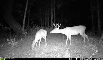 3 Champion Hill Rd, Bolton, MS 39041