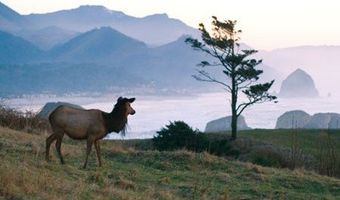79796 E BEACH Rd, Arch Cape, OR 97102