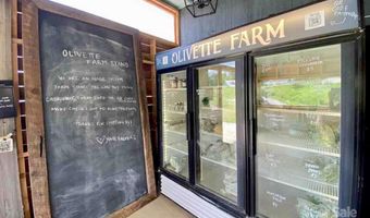 48 Sweet Fern Pkwy 59, Asheville, NC 28804