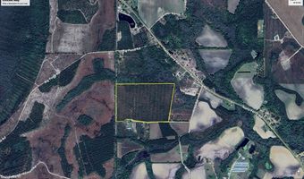 100 Doc Hunter Rd, Baxley, GA 31513