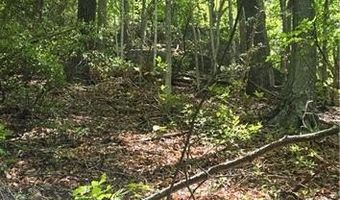Goose Creek Lane, Ararat, VA 24053