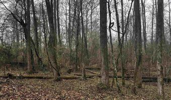 67 Old Wire Rd, Atkins, AR 72823