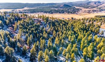 TBD Lot 11 Beaver Creek Ranch Drive, Bayfield, CO 81122