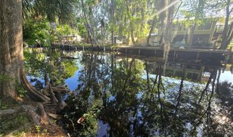 56290 CHERRY TREE Rd, Astor, FL 32102