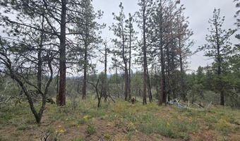Partin Way 5, Beatty, OR 97621