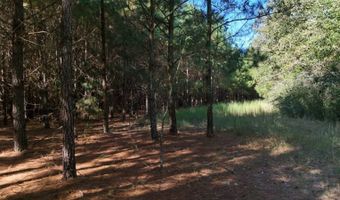 01 Goose Platter Rd, Batesburg, SC 29006