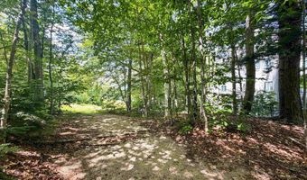 243 Cow Hill Rd 5, Bartlett, NH 03812