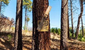 103 Pine Dr, Bayfield, CO 81122