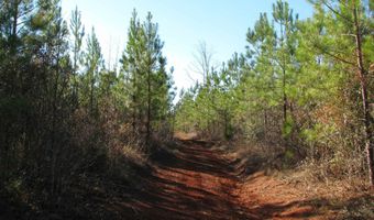 Buckhead Rd, Blair, SC 29015