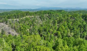 Tbd Green Springs Road, Abingdon, VA 24211