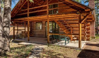 7 County Road 2044, Alpine, AZ 85920