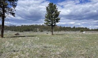 Nagel Ridge Way, Beatty, OR 97621