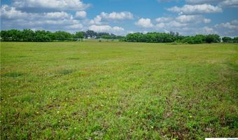 La Vernia Road, Adkins, TX 78101