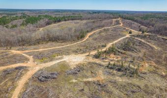 0 Vista Ln, Bethel Springs, TN 38315