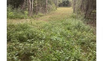 104 Acres Wesson Gap Rd, Attalla, AL 35954