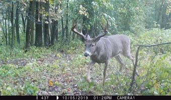 Simons Rd, Alma, WI 54610