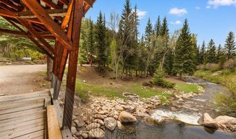 340 County Road 54, Almont, CO 81210