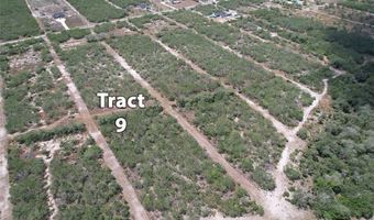 179 County Road 1461 Lot 9, Alice, TX 78332
