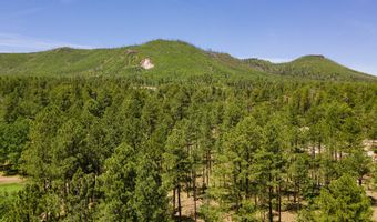 13 County Road N 2122, Alpine, AZ 85920