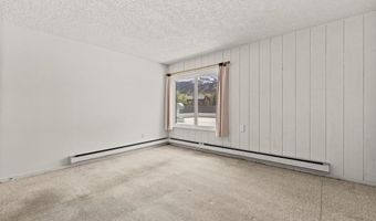 110 S Park Ave 106, Breckenridge, CO 80424