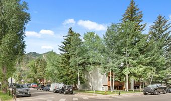 935 E Hopkins Ave 7, Aspen, CO 81611