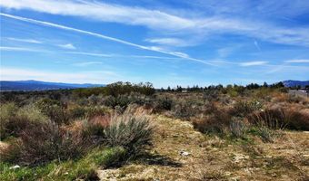 1 Mitchell Rd, Anza, CA 92539