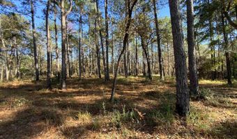 10 Drinkard Rd, Bay Minette, AL 36507