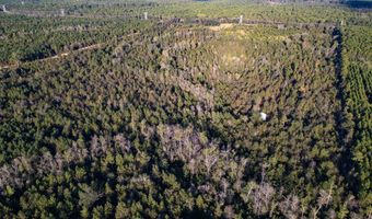 0 Morris Lndg, Baxley, GA 31513