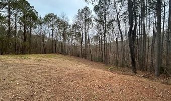 1089 Damascus Dr, Ball Ground, GA 30107
