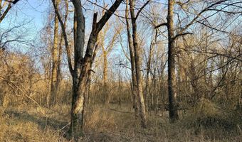 0002 CR-290, Asbury, MO 64832