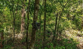 4814 NW 244 Ave, Alachua, FL 32615