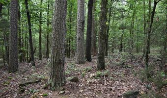 10355 Rodeo Rd, Belleville, AR 72824