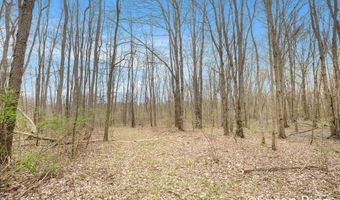 V/L Watts Road, Allegan, MI 49010