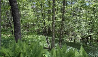Bear Hill Road, Brookfield, VT 05036