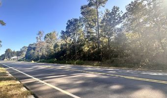 0 Highway 3, Blackville, SC 29817