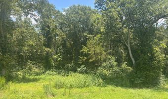 0 CR-215, Ariton, AL 36311
